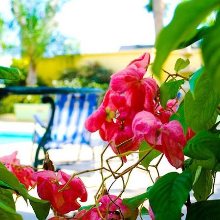 Golden Sands Hotel Christ Church Bagian luar foto